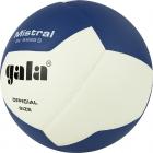 Мяч вол. GALA Mistral 12, BV5665S, р. 5, синт. кожа ПУ, клееный, бут. камера, бело-синий